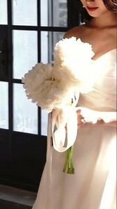 球牡丹 暖陽花